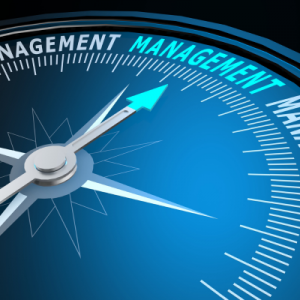 management - MTManager - artykuł